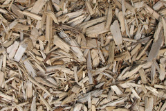 biomass boilers Woodmill